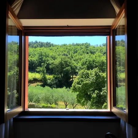 B&B I Martelli-3